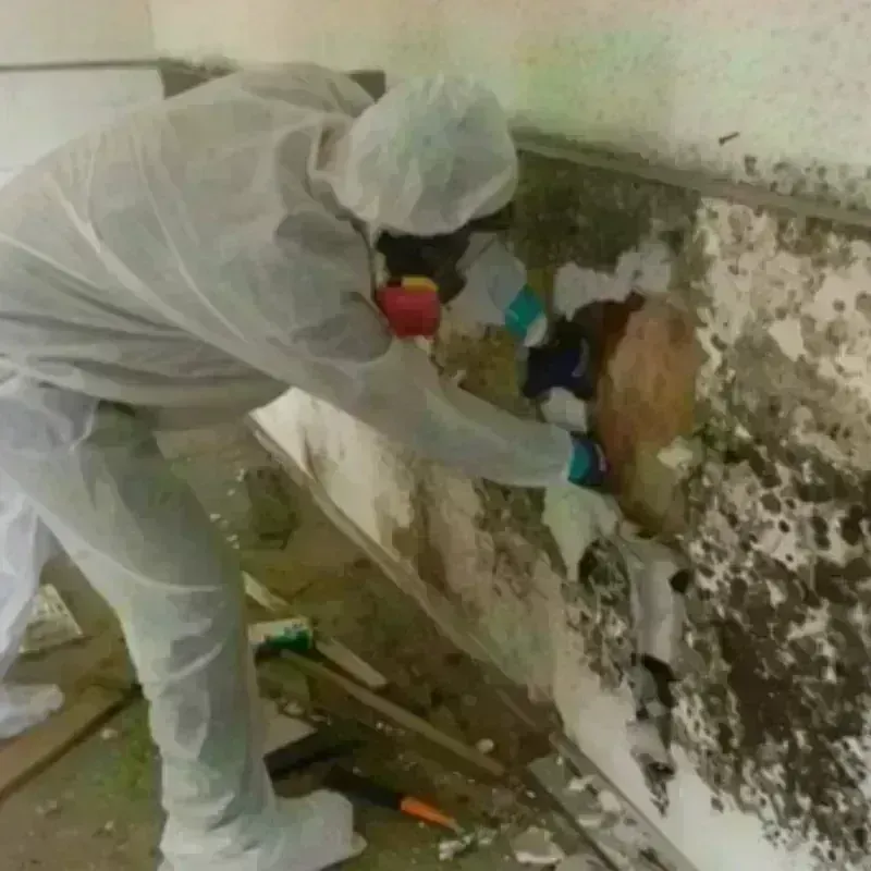 Mold Remediation and Removal in Beach City, OH