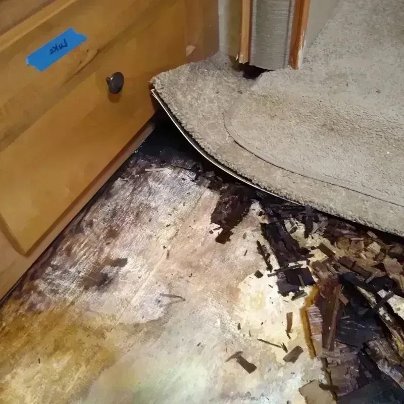 Wood Floor Water Damage in Beach City, OH